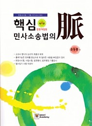 2018[제4판] 핵심 민사소송법의 맥