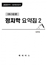 25대비 GS3 정치학 요약집2