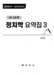 25대비 GS3 정치학 요약집3