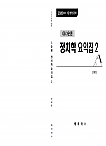 26대비 gs3순환 정치학 요약집2